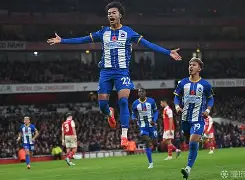 开云体育官网-布莱顿对热刺比分预测